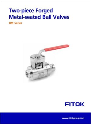 Fitok Two Piece Forged Metal Seated Ball Valves